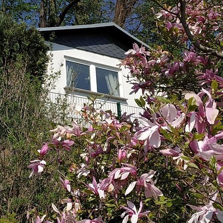 Das Ferienhaus Mit Aussicht Pirna Exterior foto