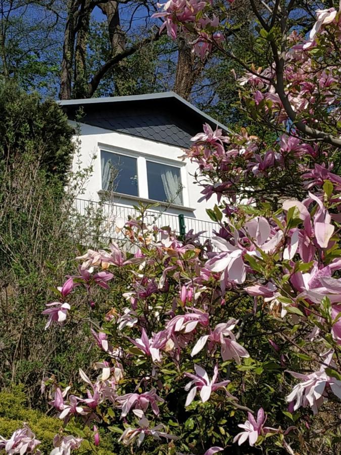 Das Ferienhaus Mit Aussicht Pirna Exterior foto