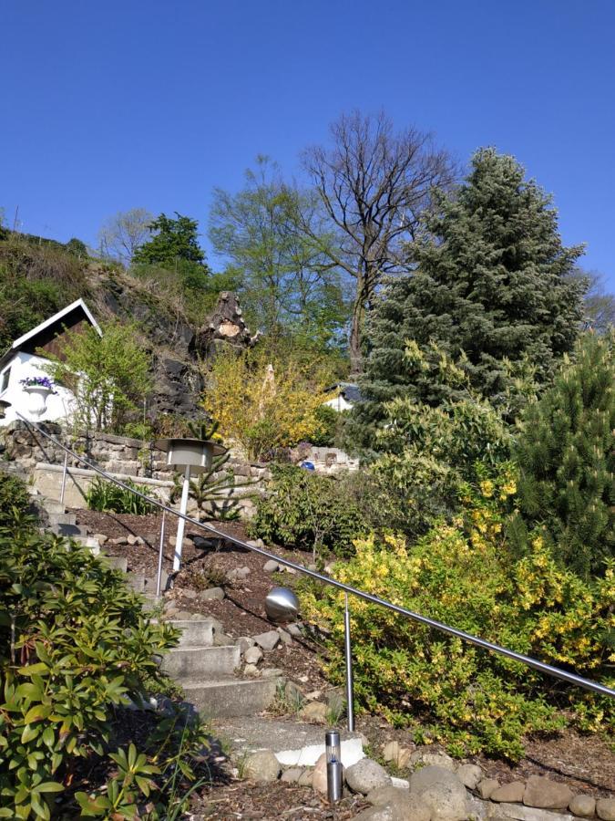 Das Ferienhaus Mit Aussicht Pirna Exterior foto