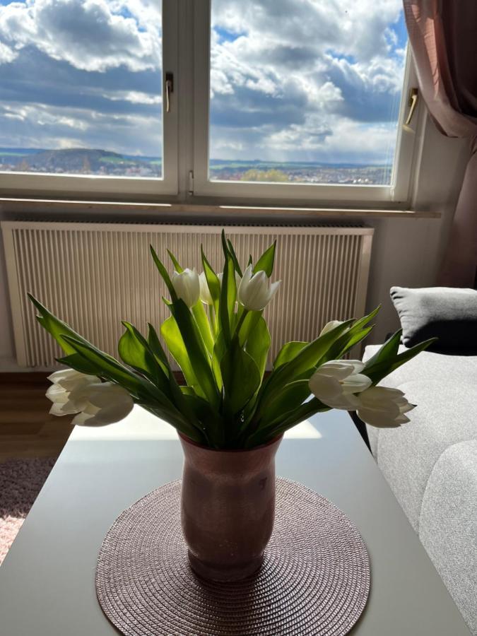 Das Ferienhaus Mit Aussicht Pirna Exterior foto